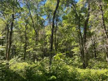 Property Photo 44