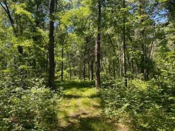 Property Photo 51