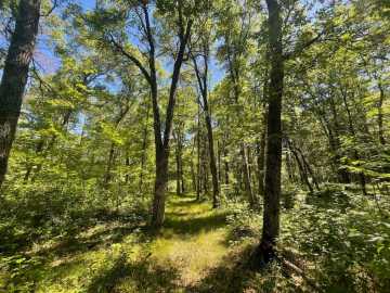Property Photo 54