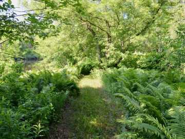 Property Photo 32