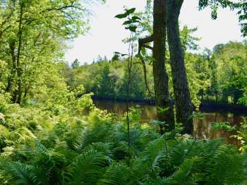 Property Photo 33