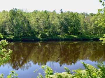 Property Photo 35