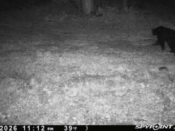Property Photo 24