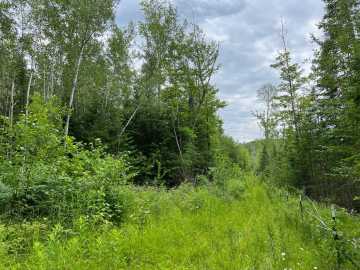 Property Photo 42