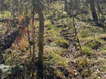 Property Photo 24