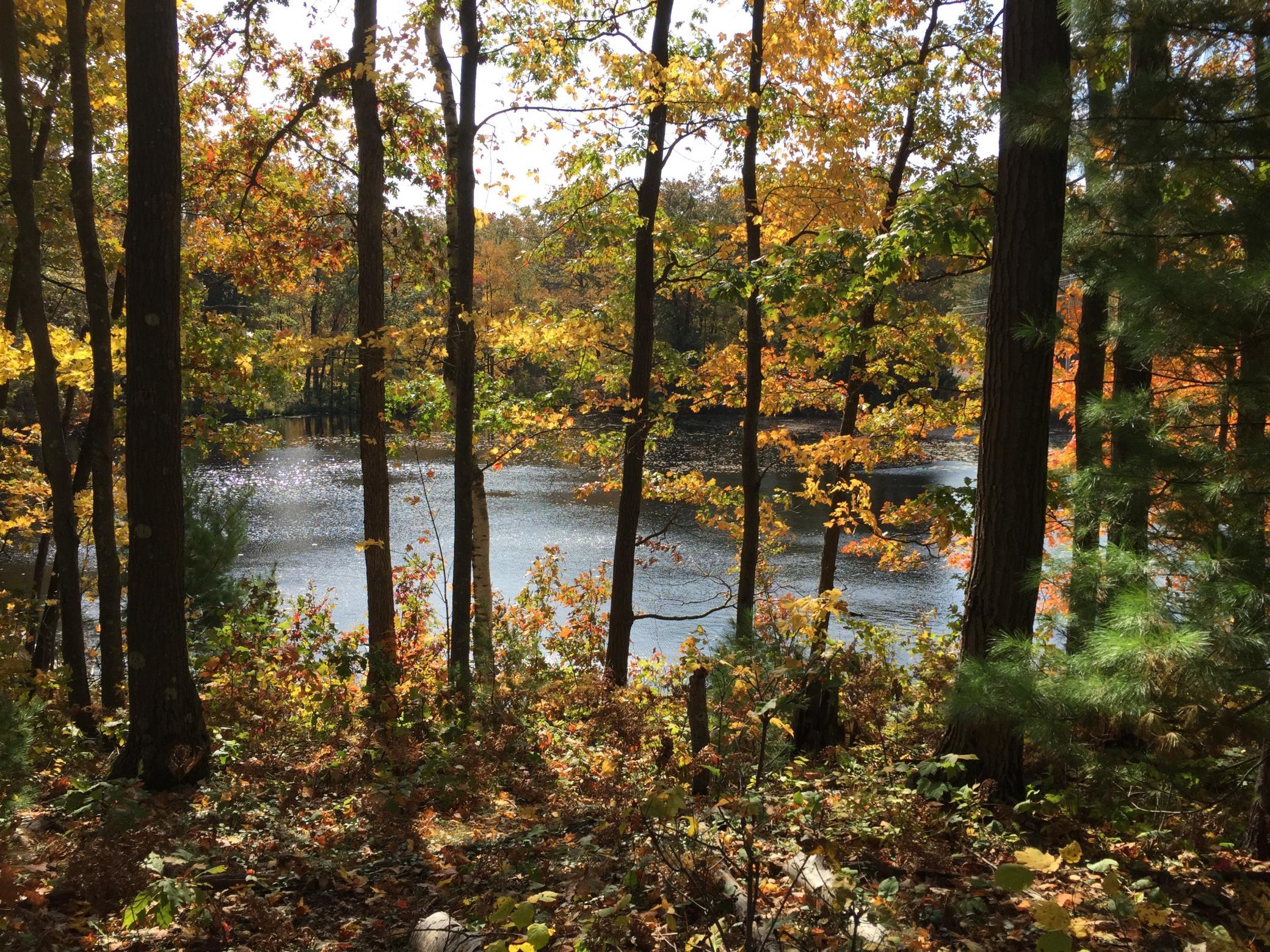 Main Property Photo
