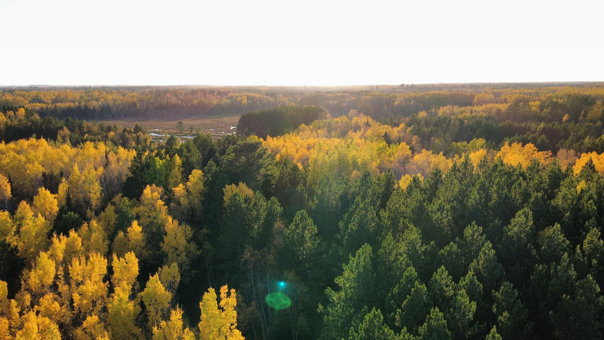 Main Property Photo