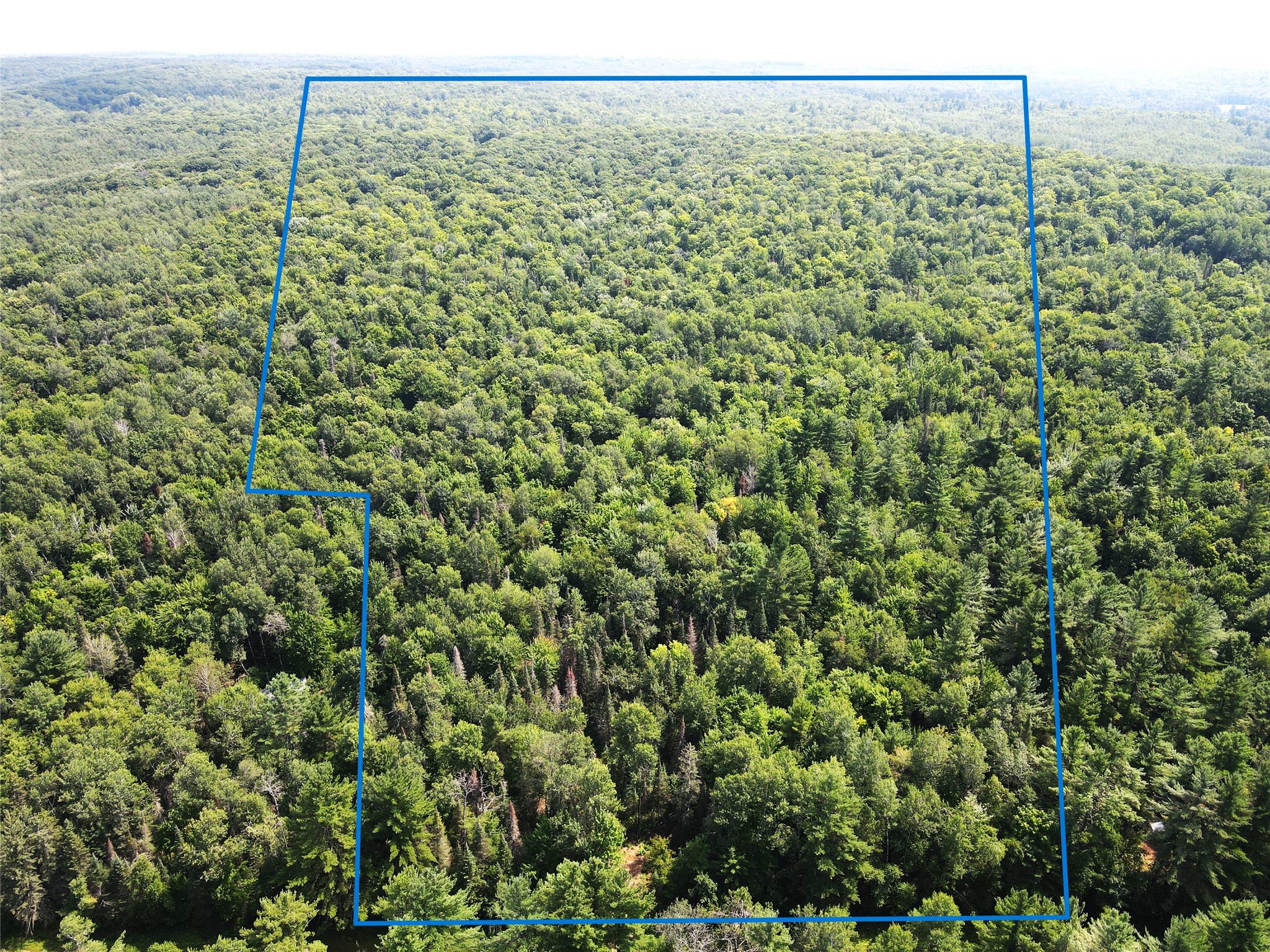 Main Property Photo