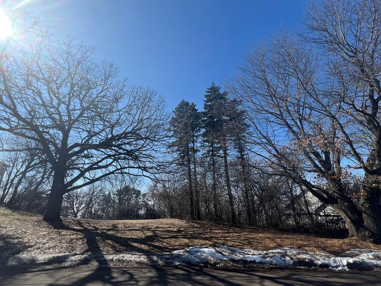 Main Property Photo