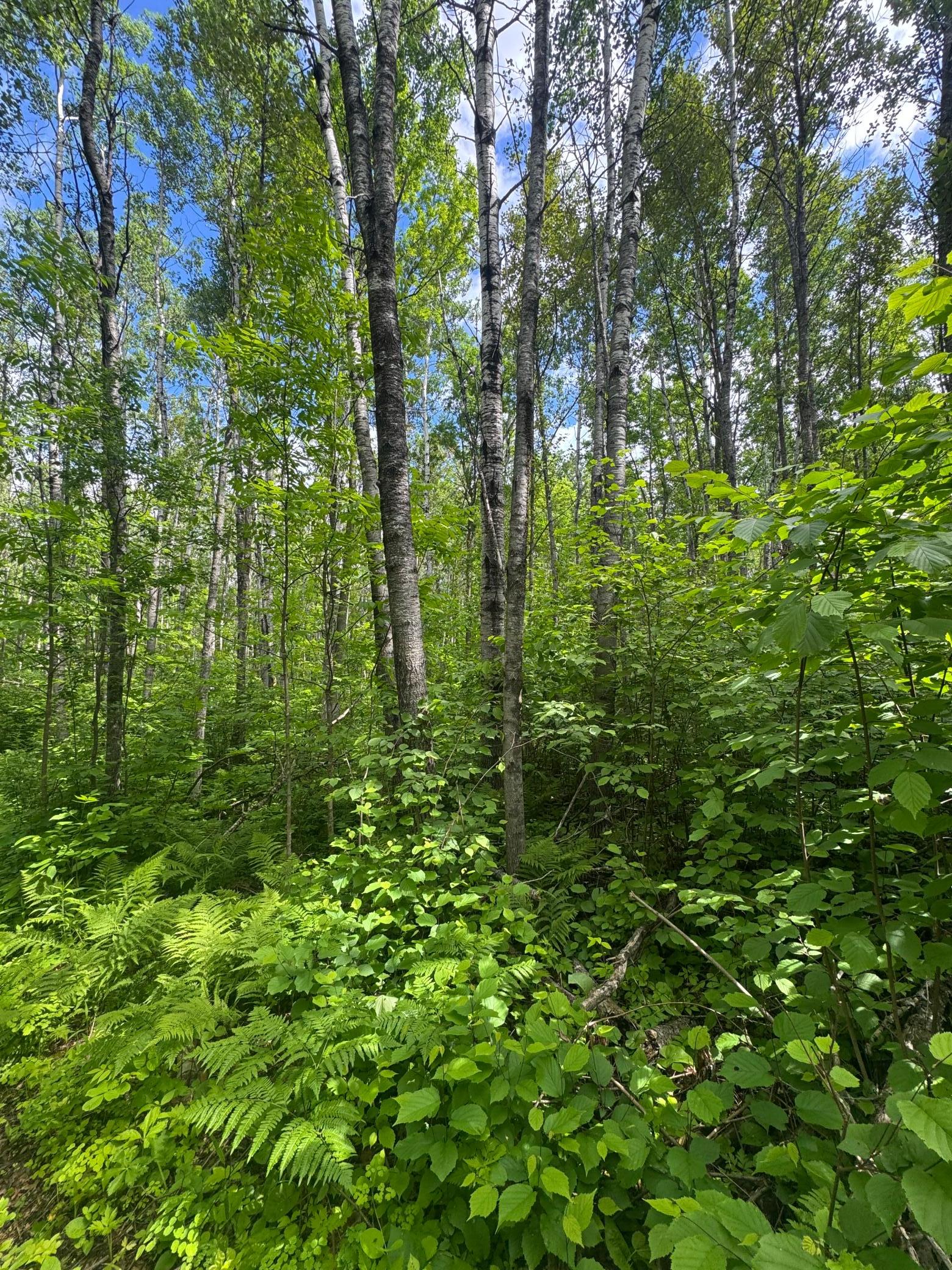 Property Photo 40
