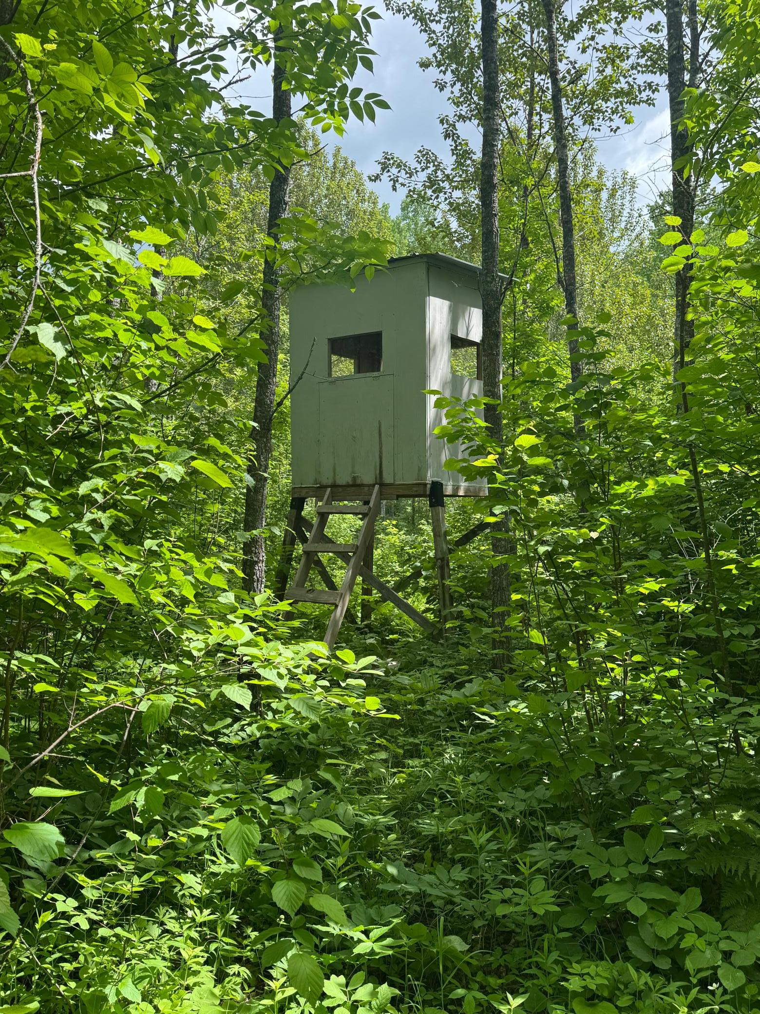 Property Photo 43