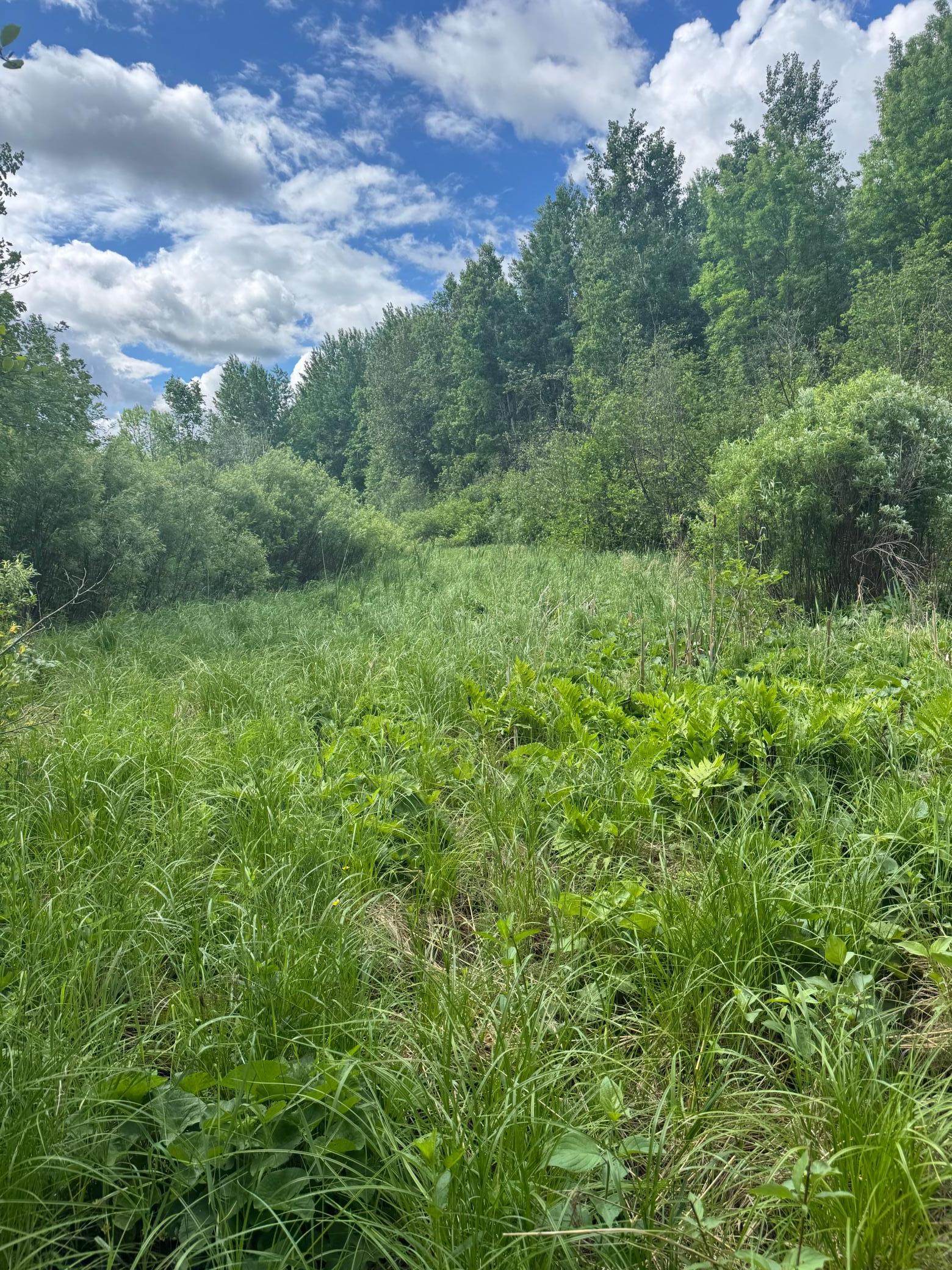 Property Photo 46