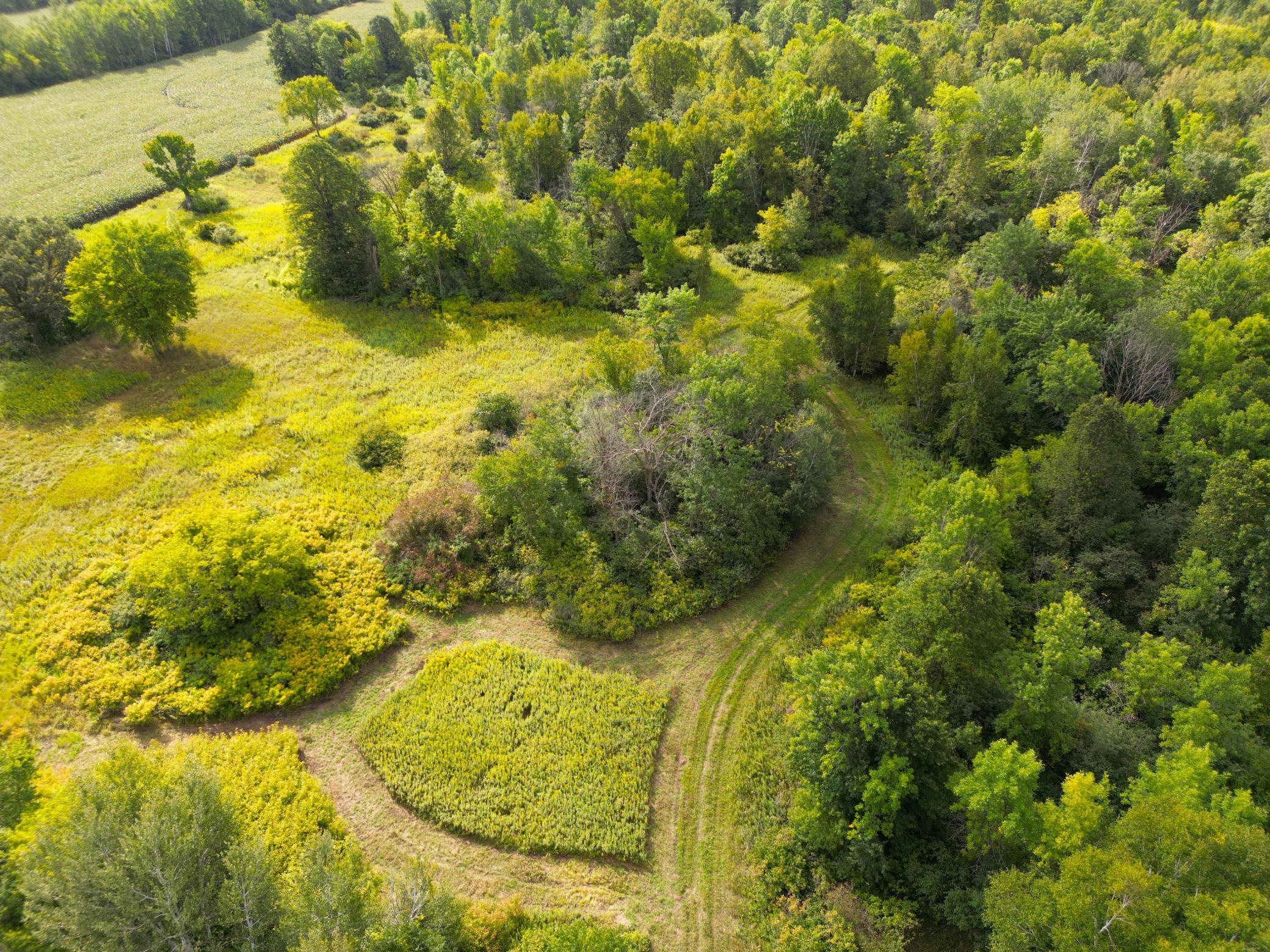 Main Property Photo