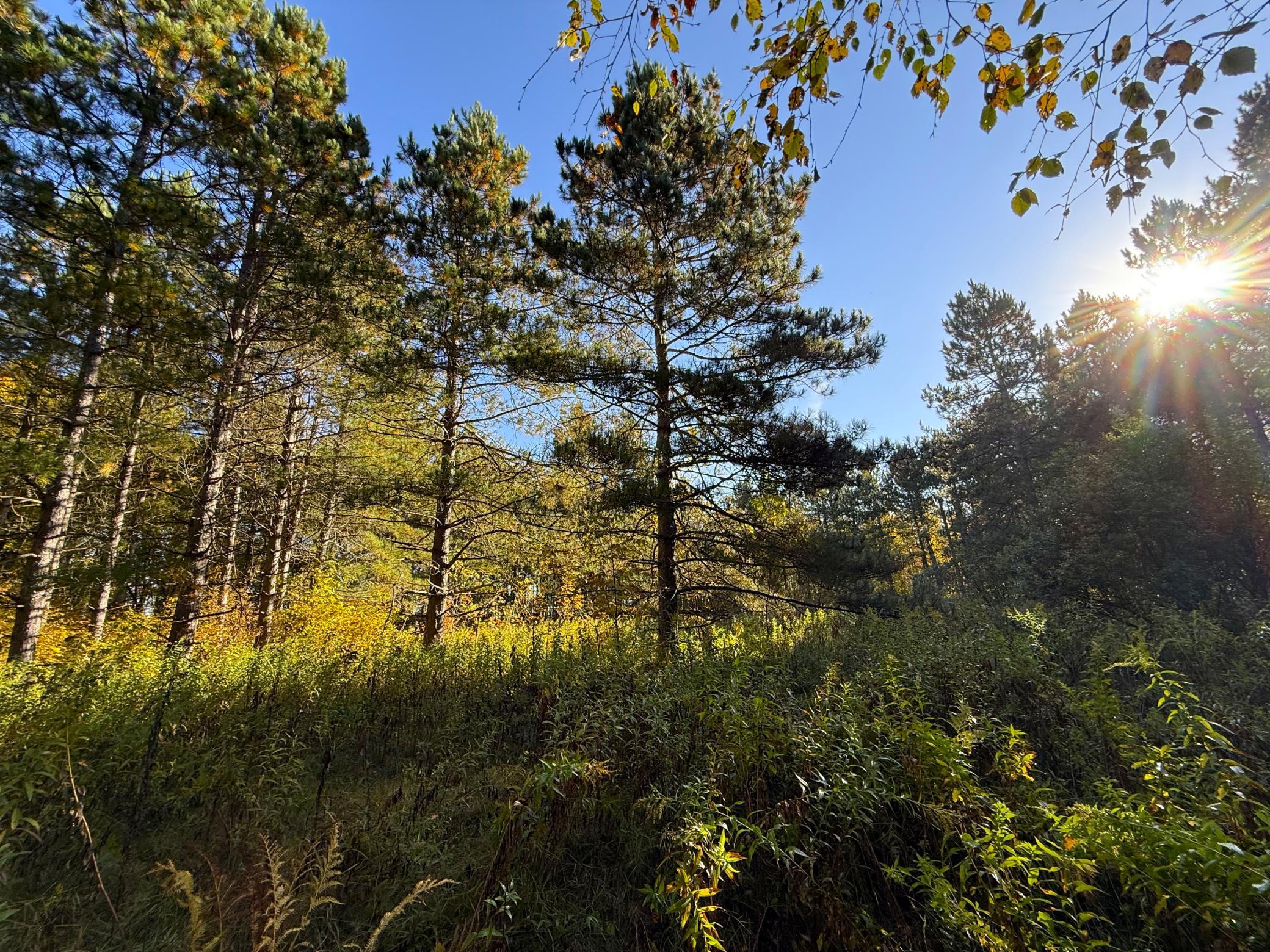 Main Property Photo