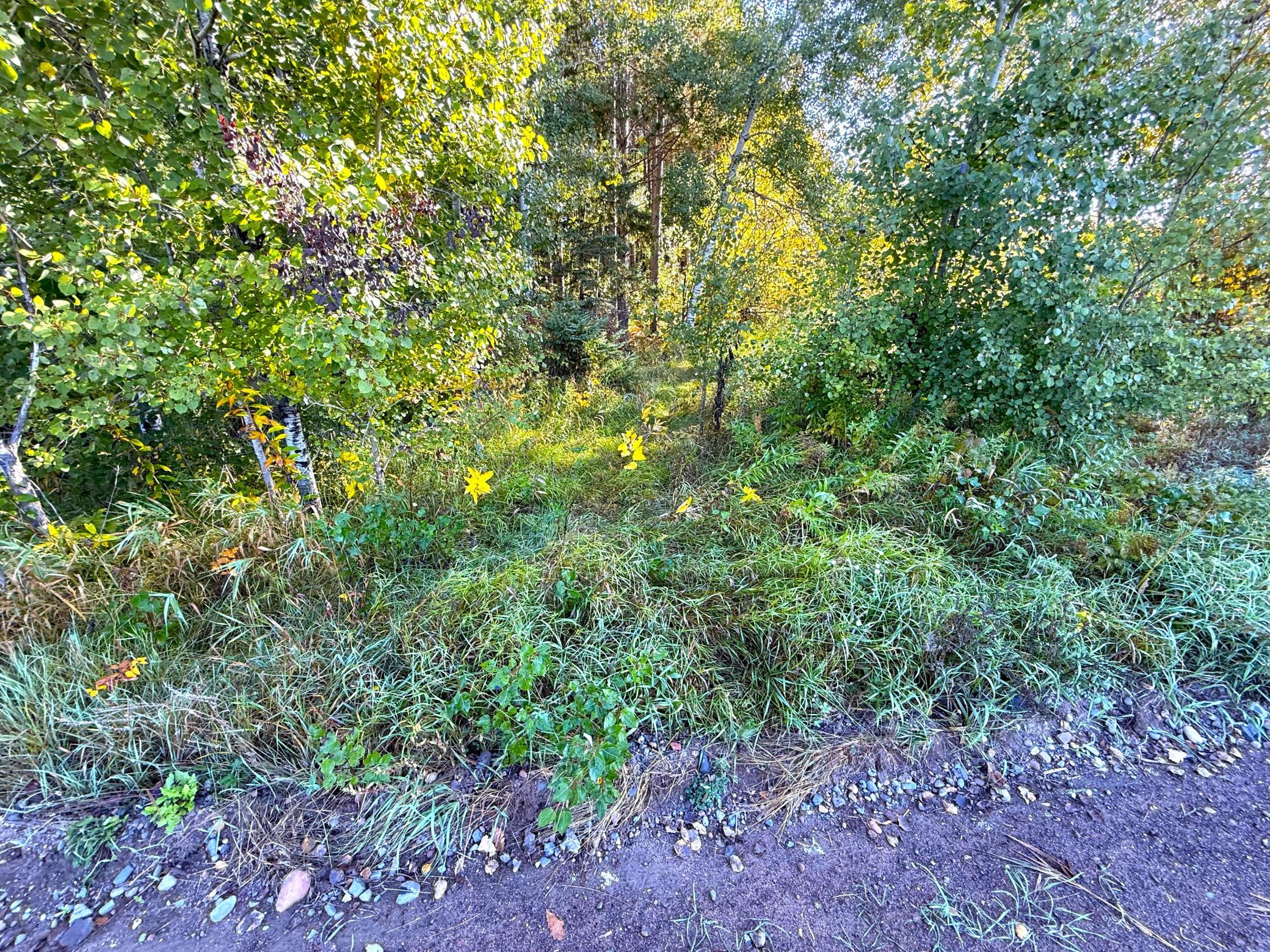 Property Photo 25
