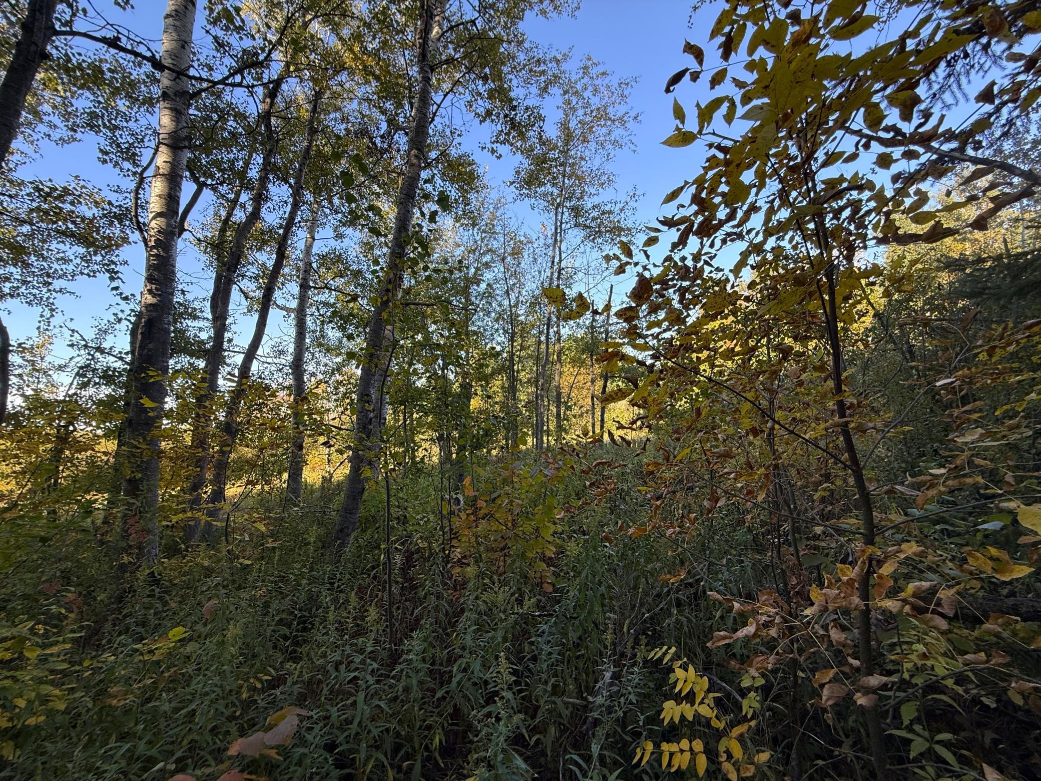 Property Photo 46