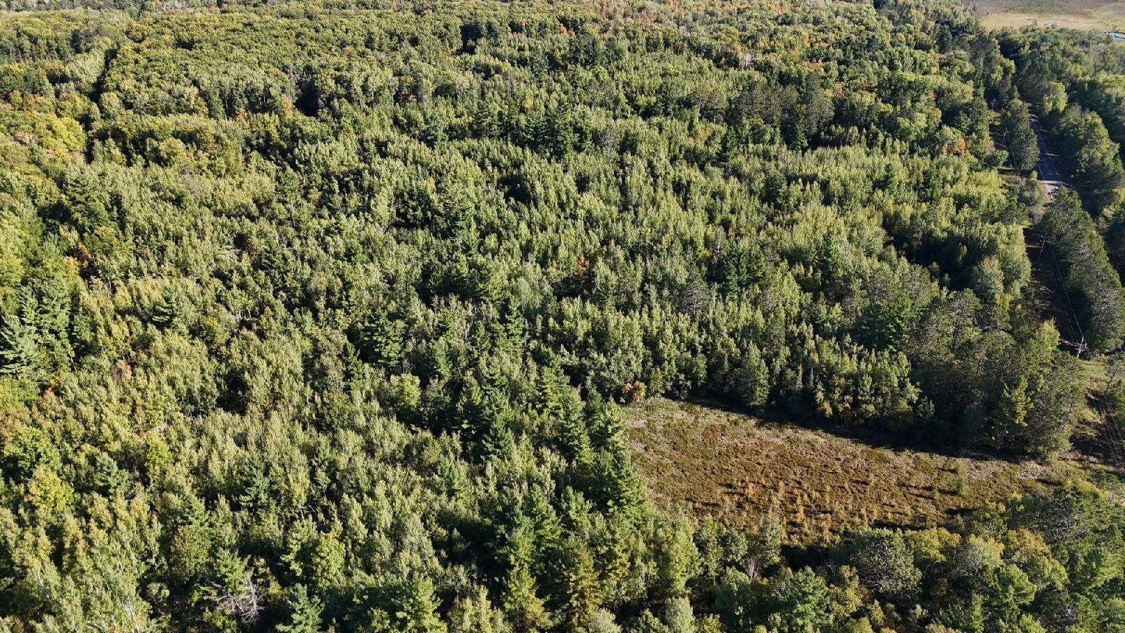 Main Property Photo
