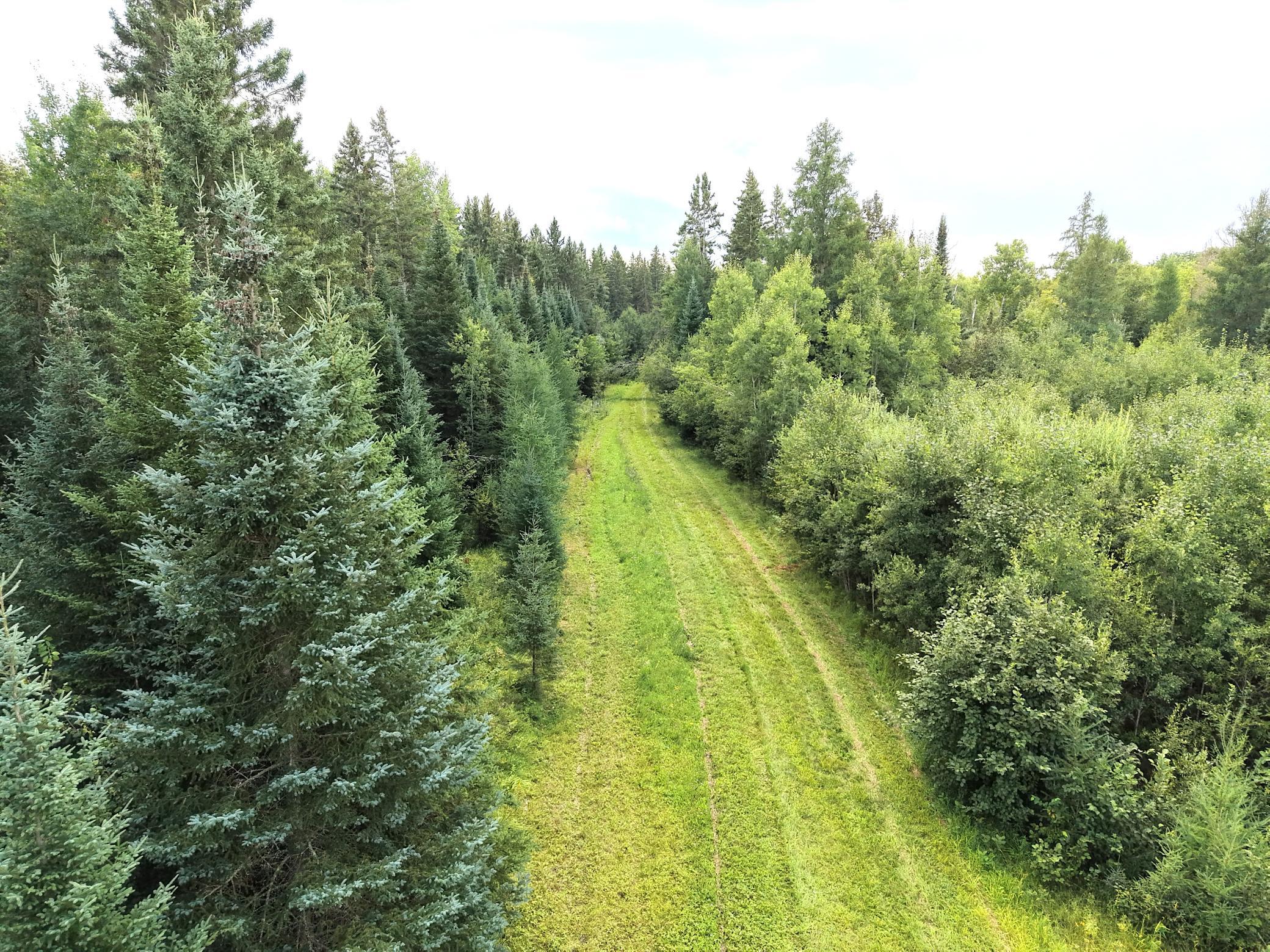 Property Photo 49