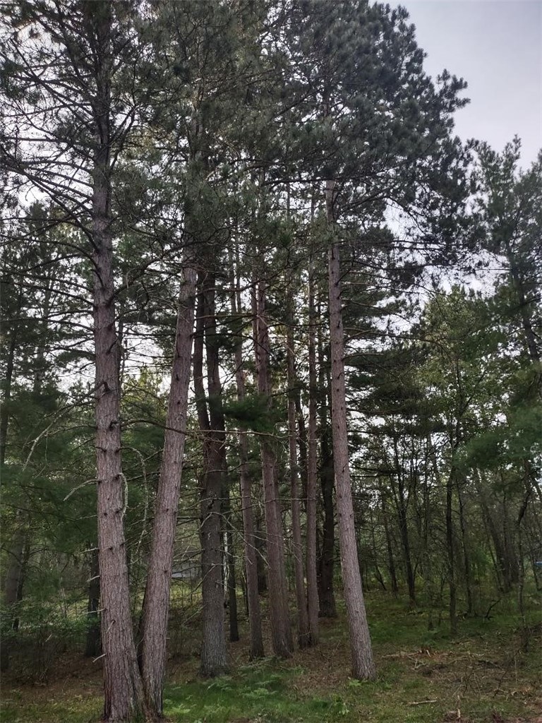 Main Property Photo