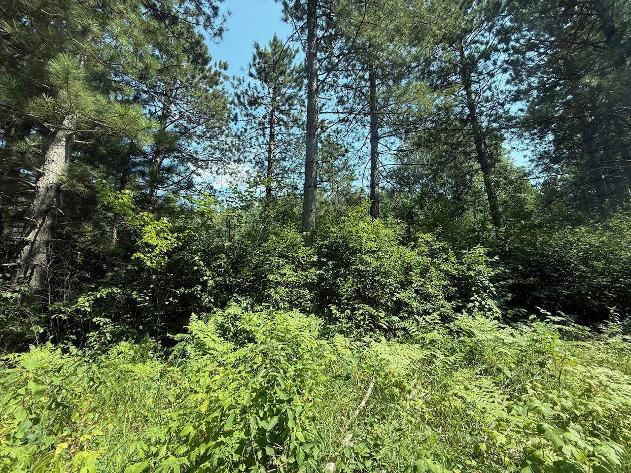 Property Photo 31