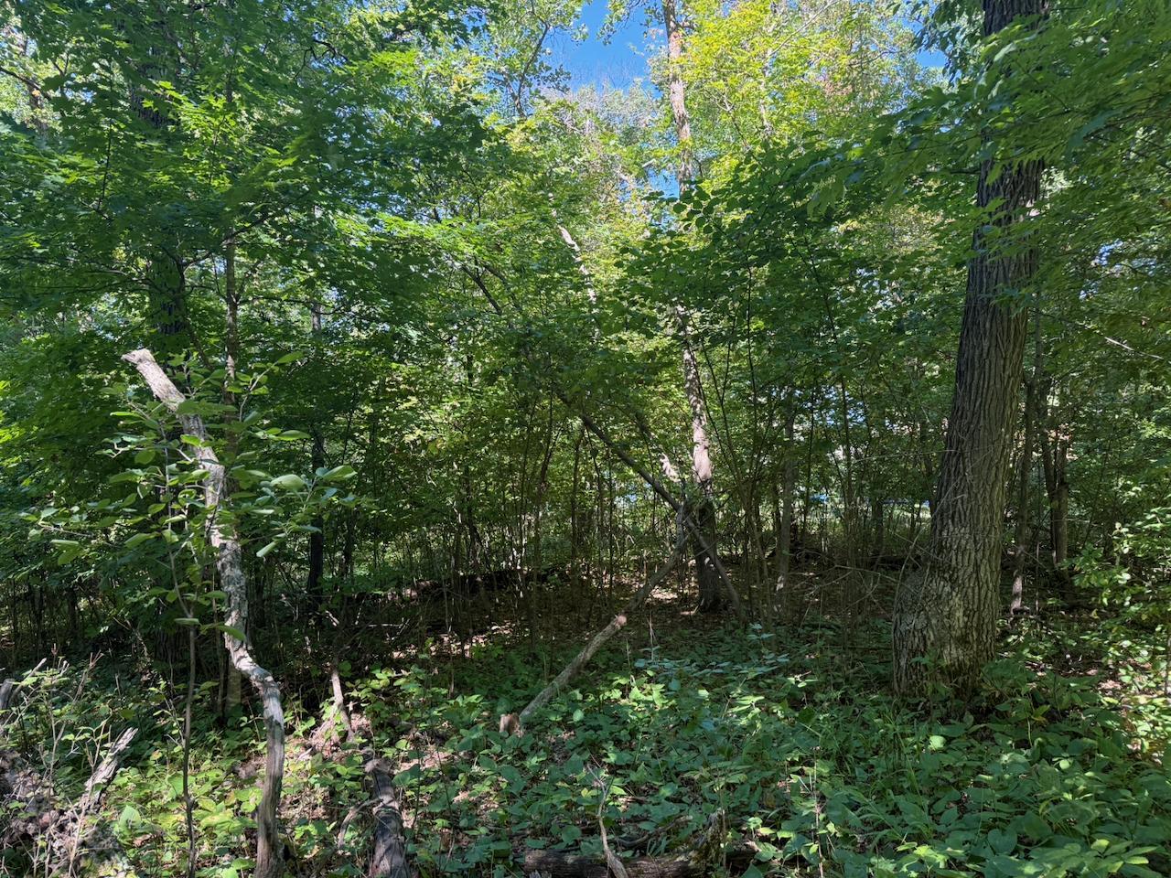 Property Photo 16