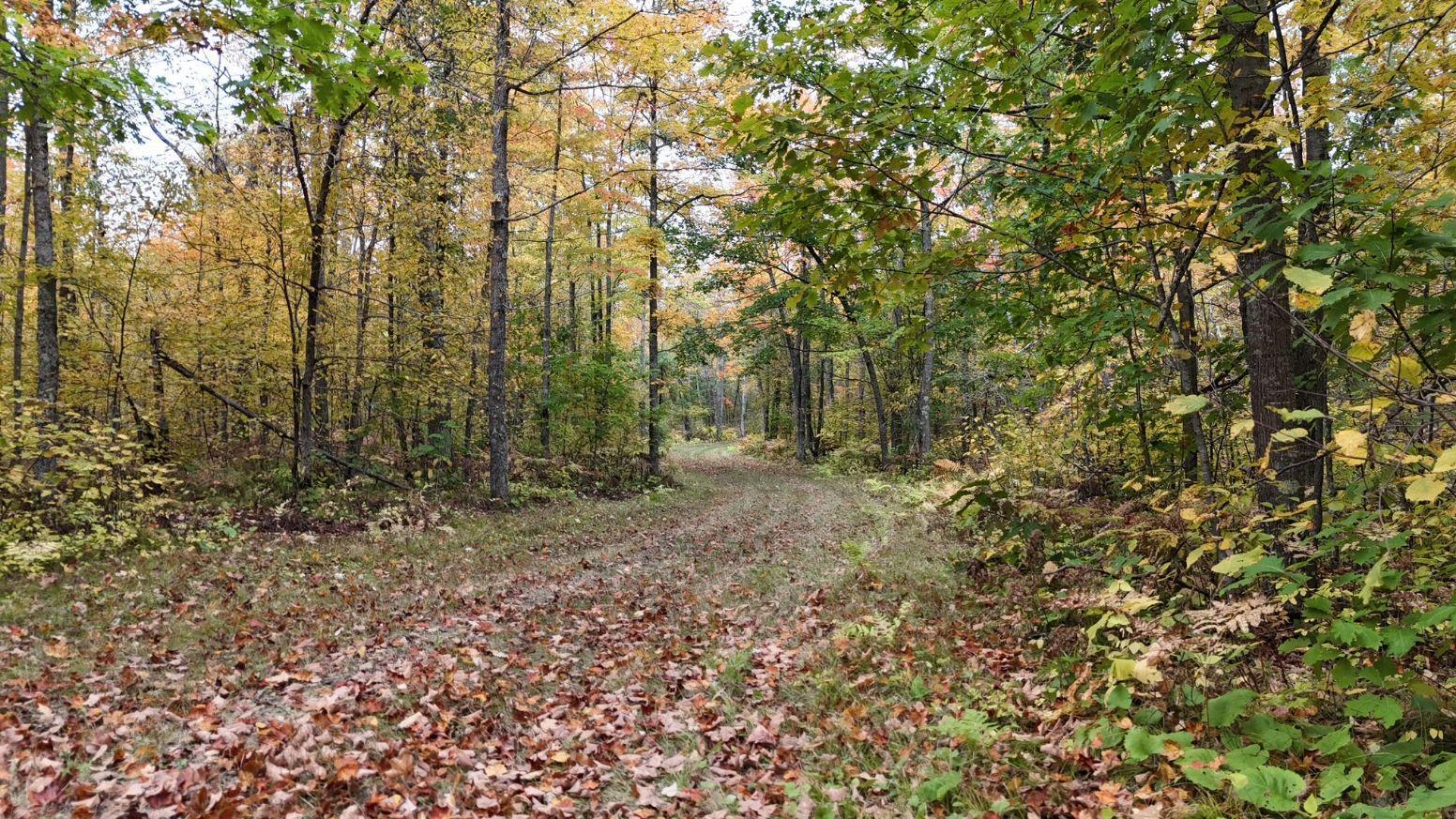 Property Photo 37