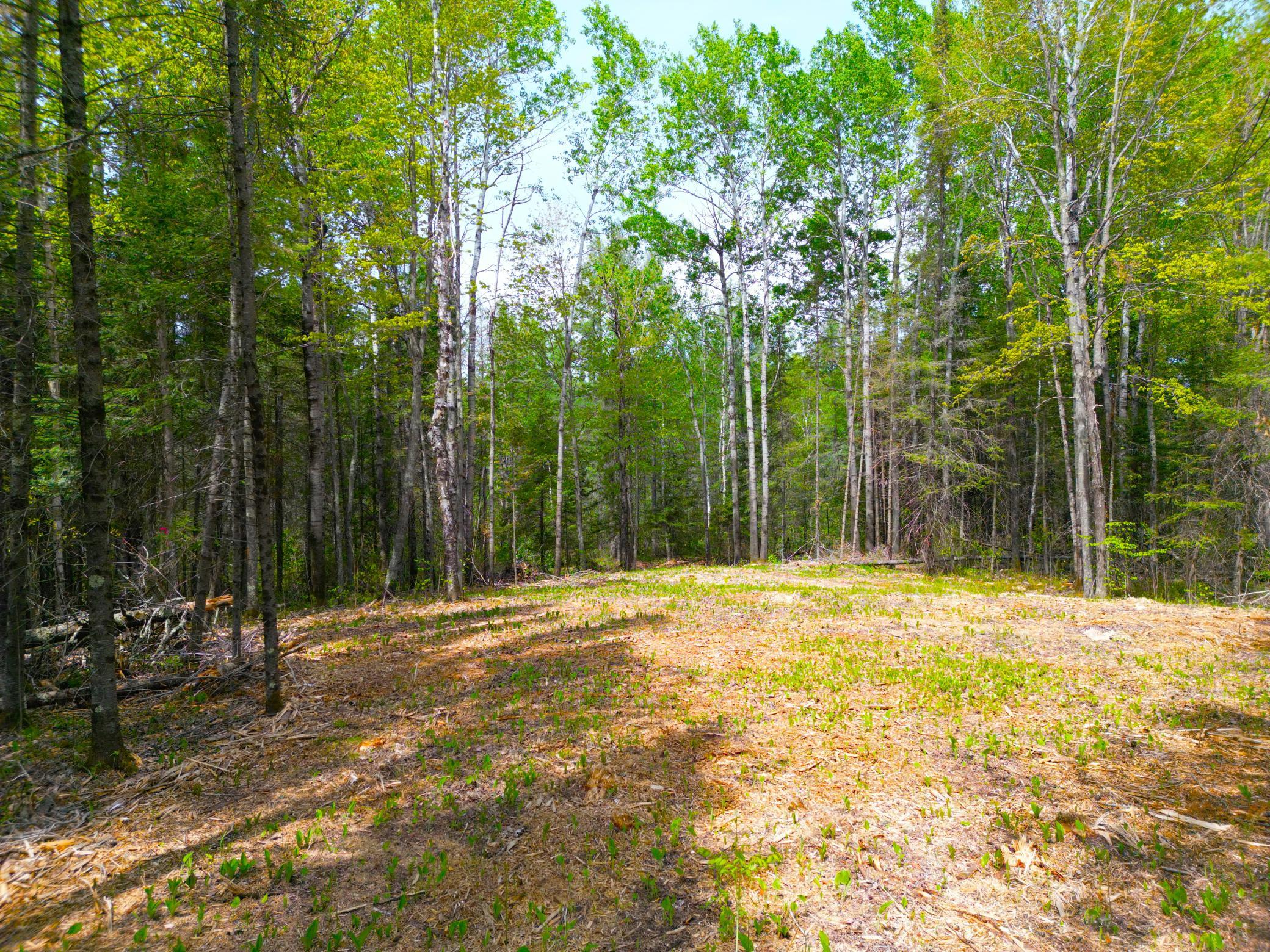 Main Property Photo