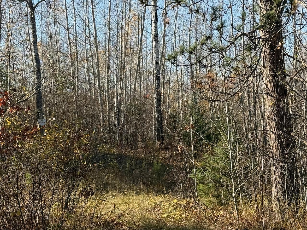 Main Property Photo