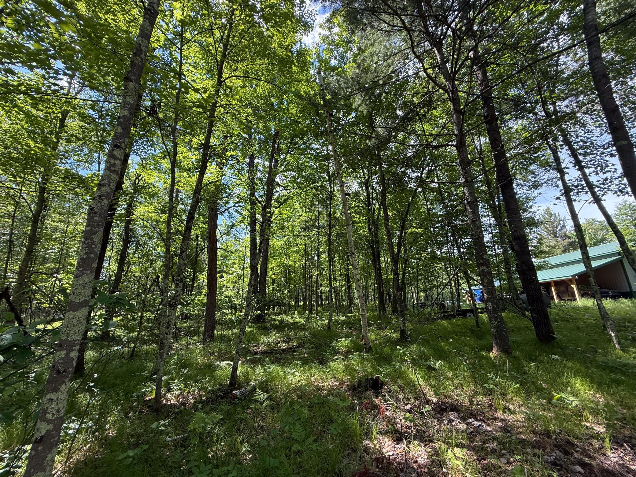 Property Photo 31