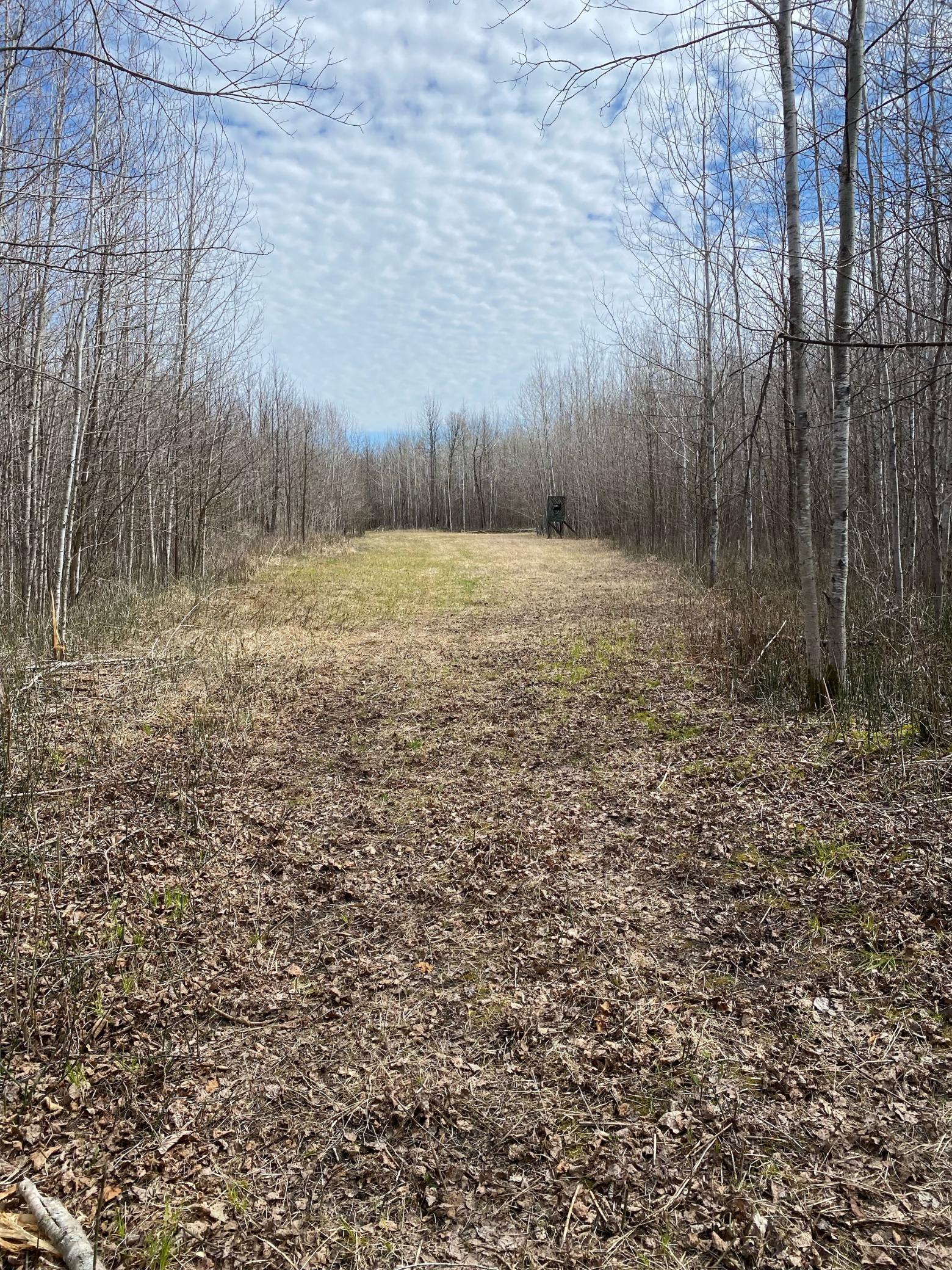 Main Property Photo