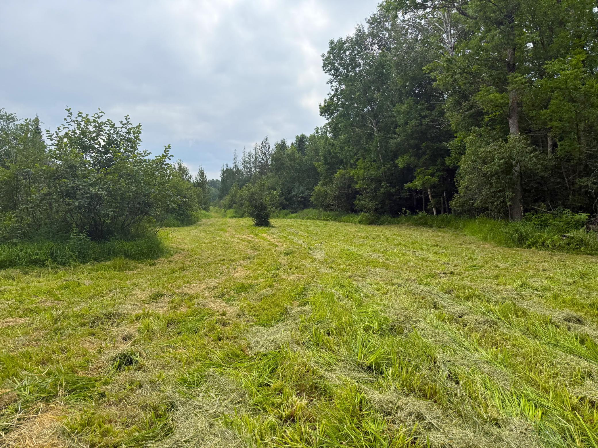 Property Photo 115