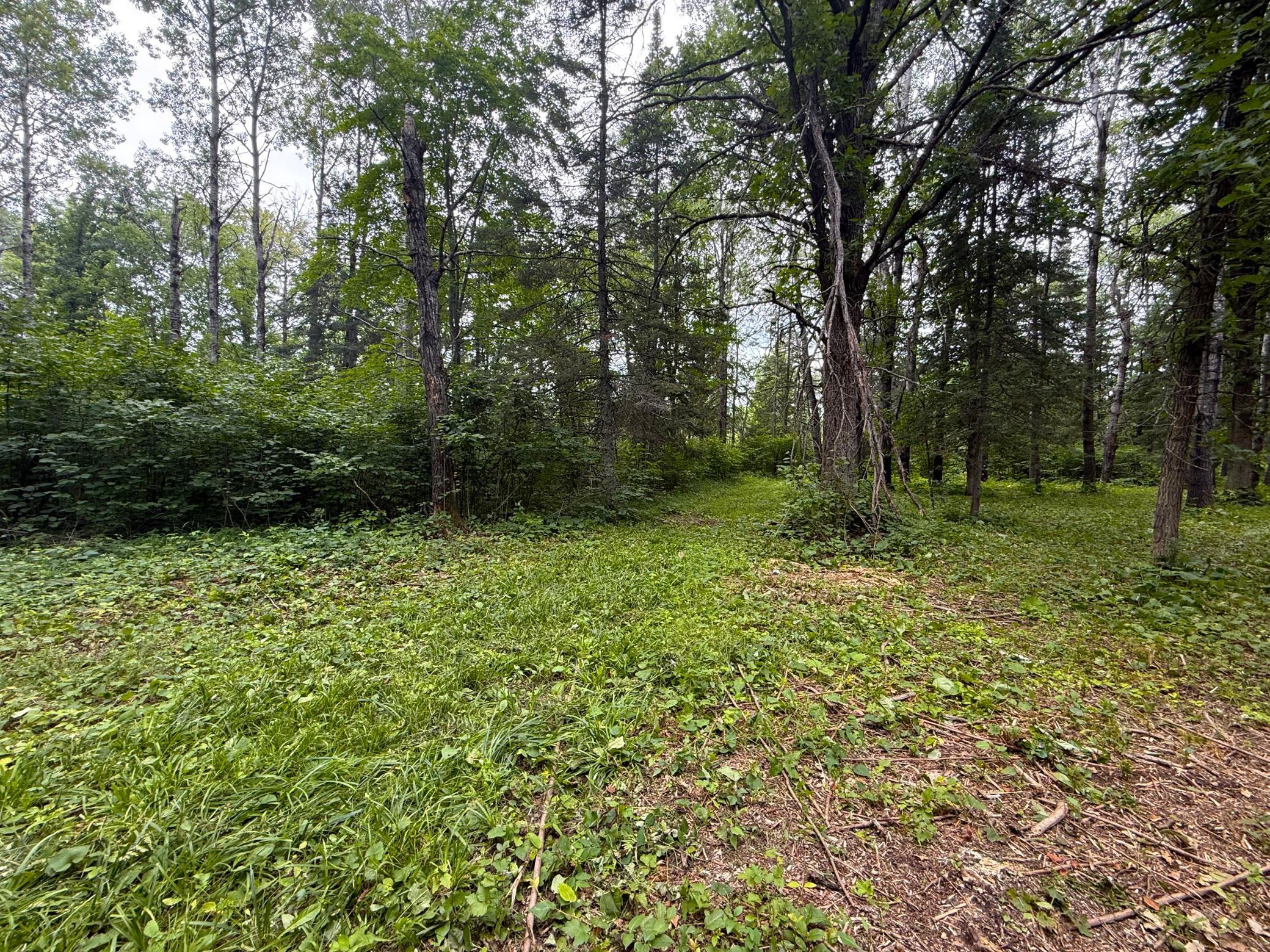 Property Photo 130