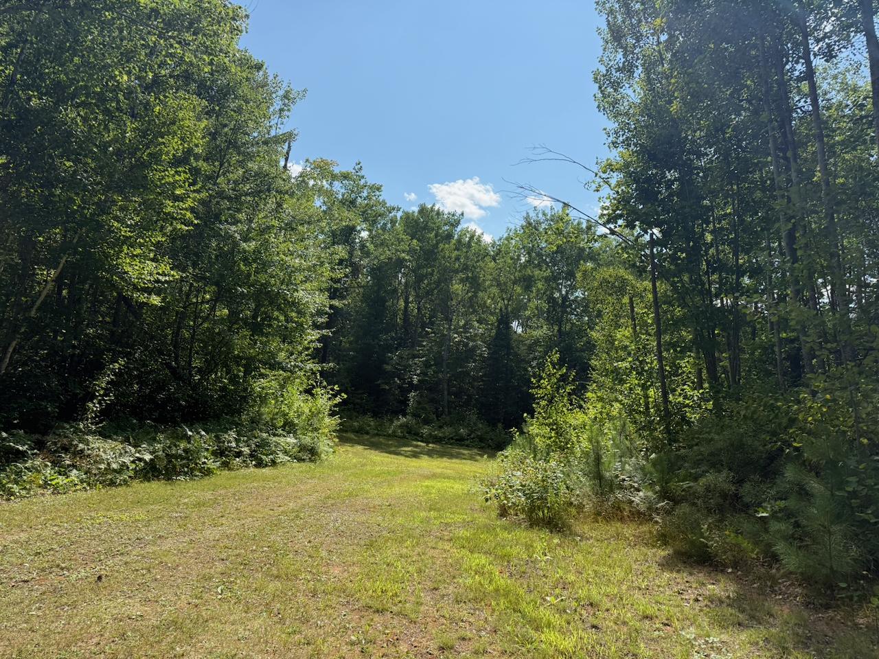 Main Property Photo