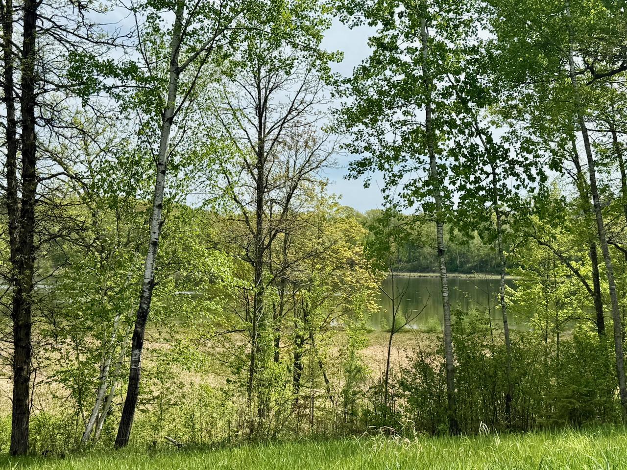 Main Property Photo