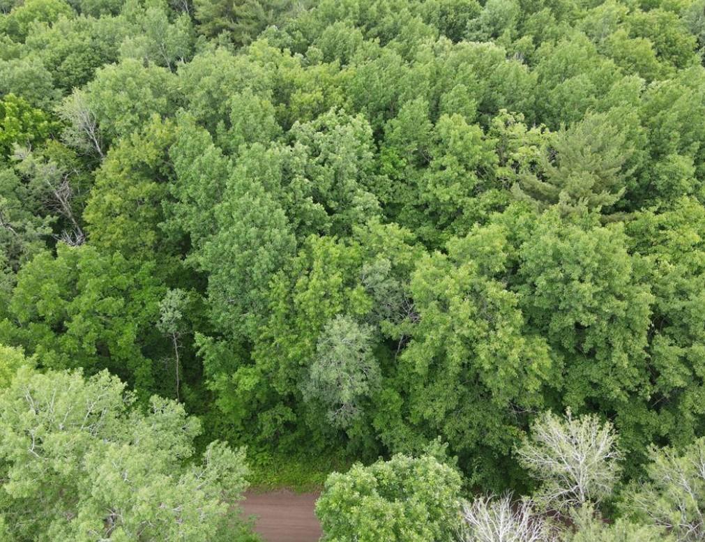Main Property Photo