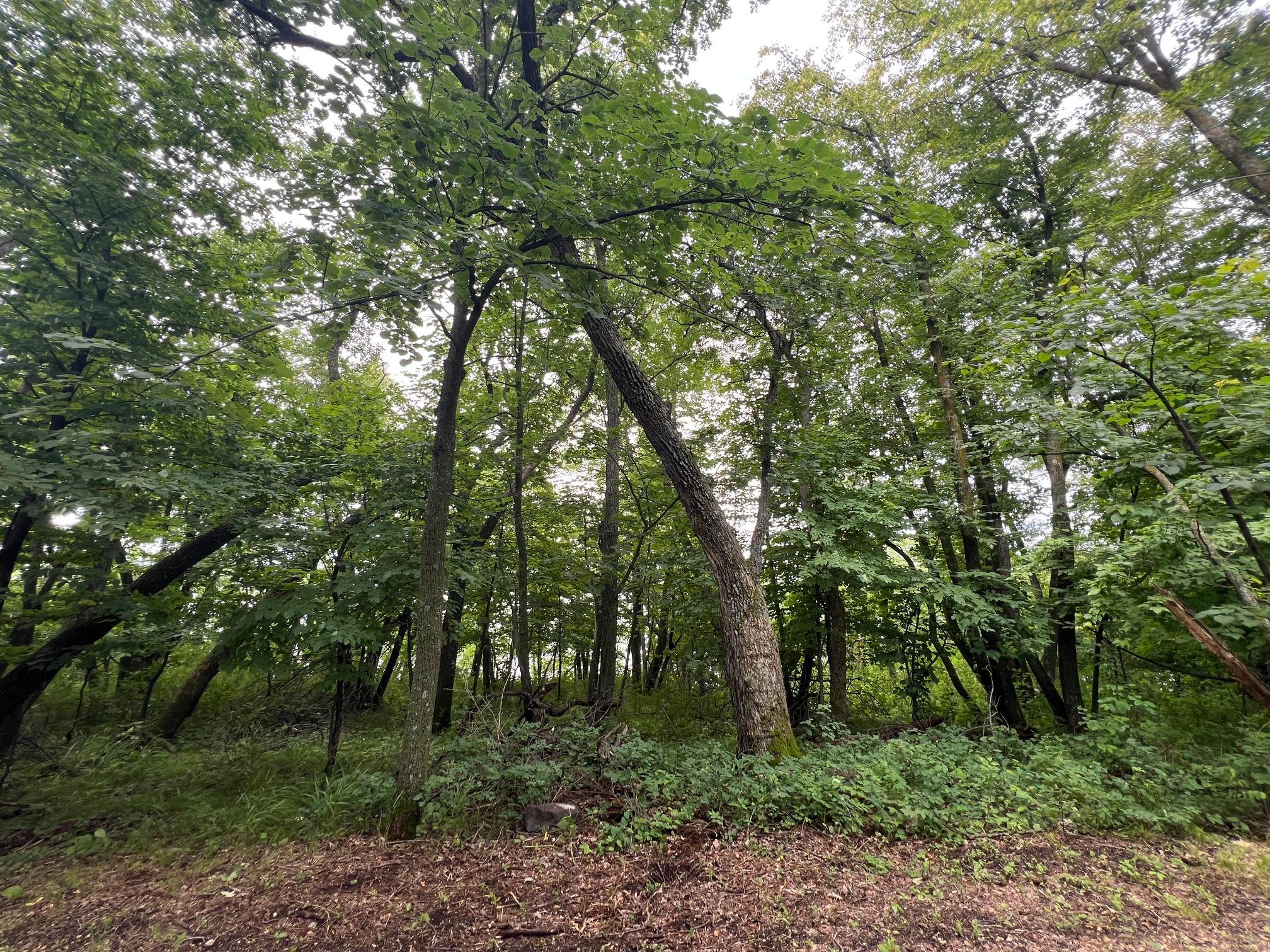 Property Photo 25