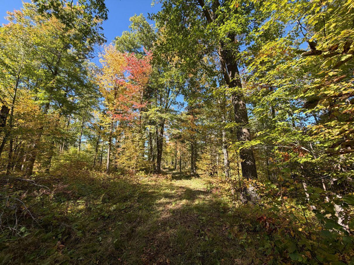 Property Photo 37