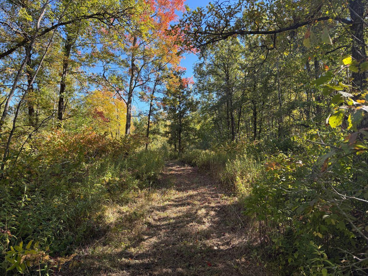 Property Photo 43
