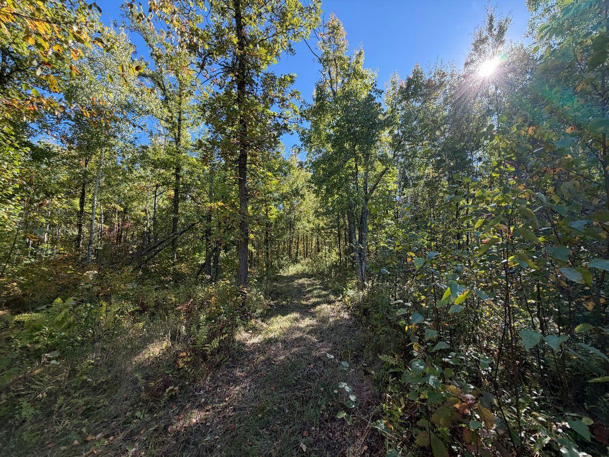 Property Photo 46