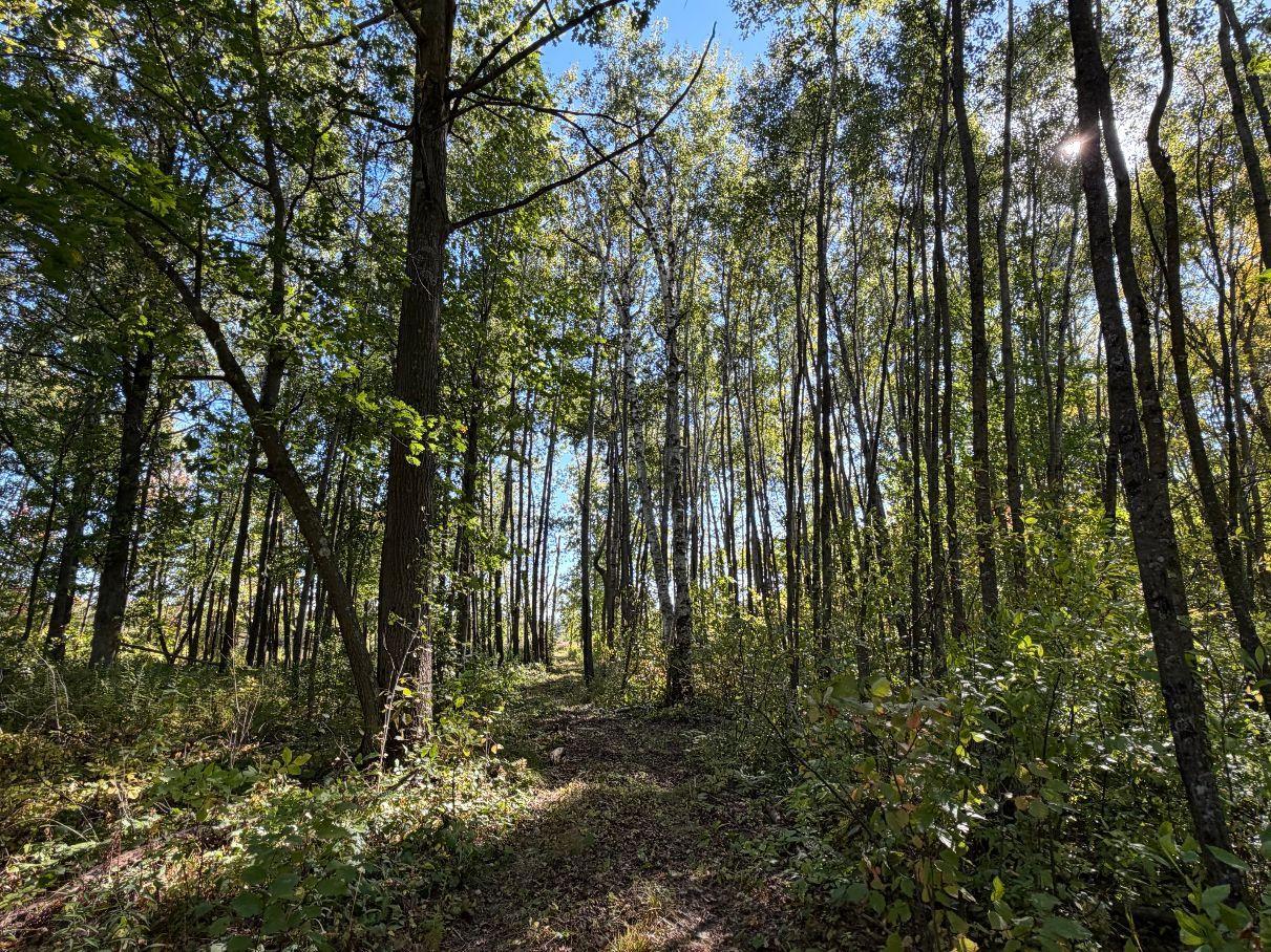 Property Photo 49