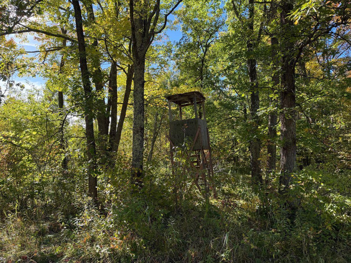 Property Photo 61