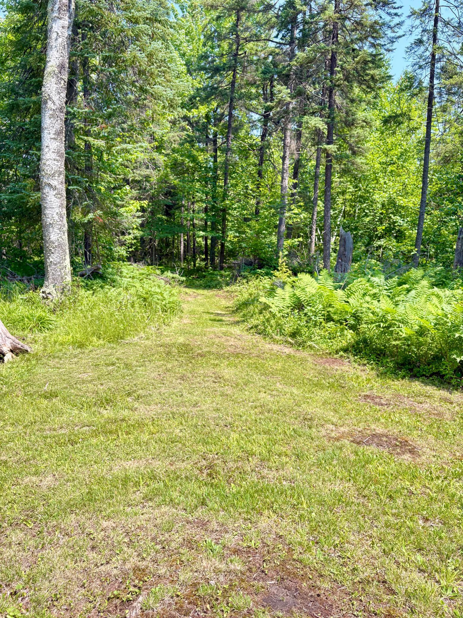 Property Photo 67