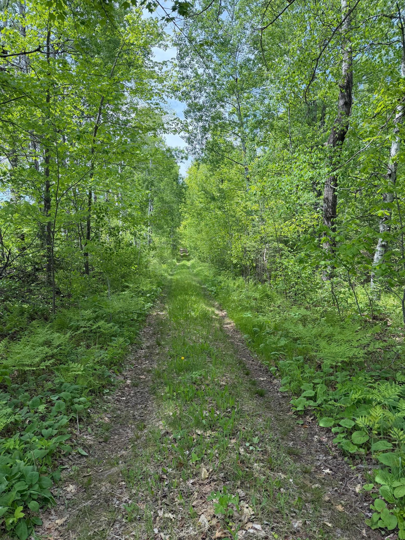 Main Property Photo