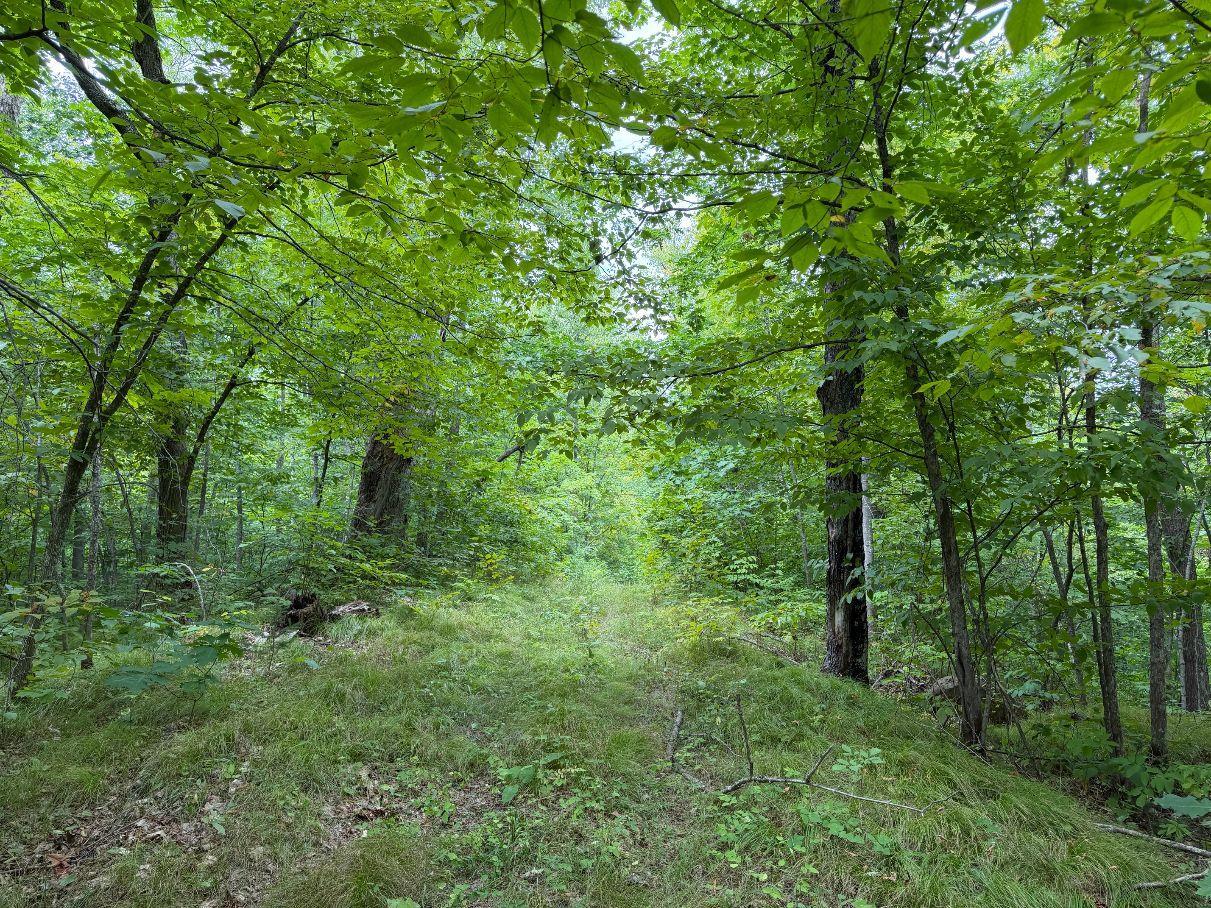 Property Photo 40
