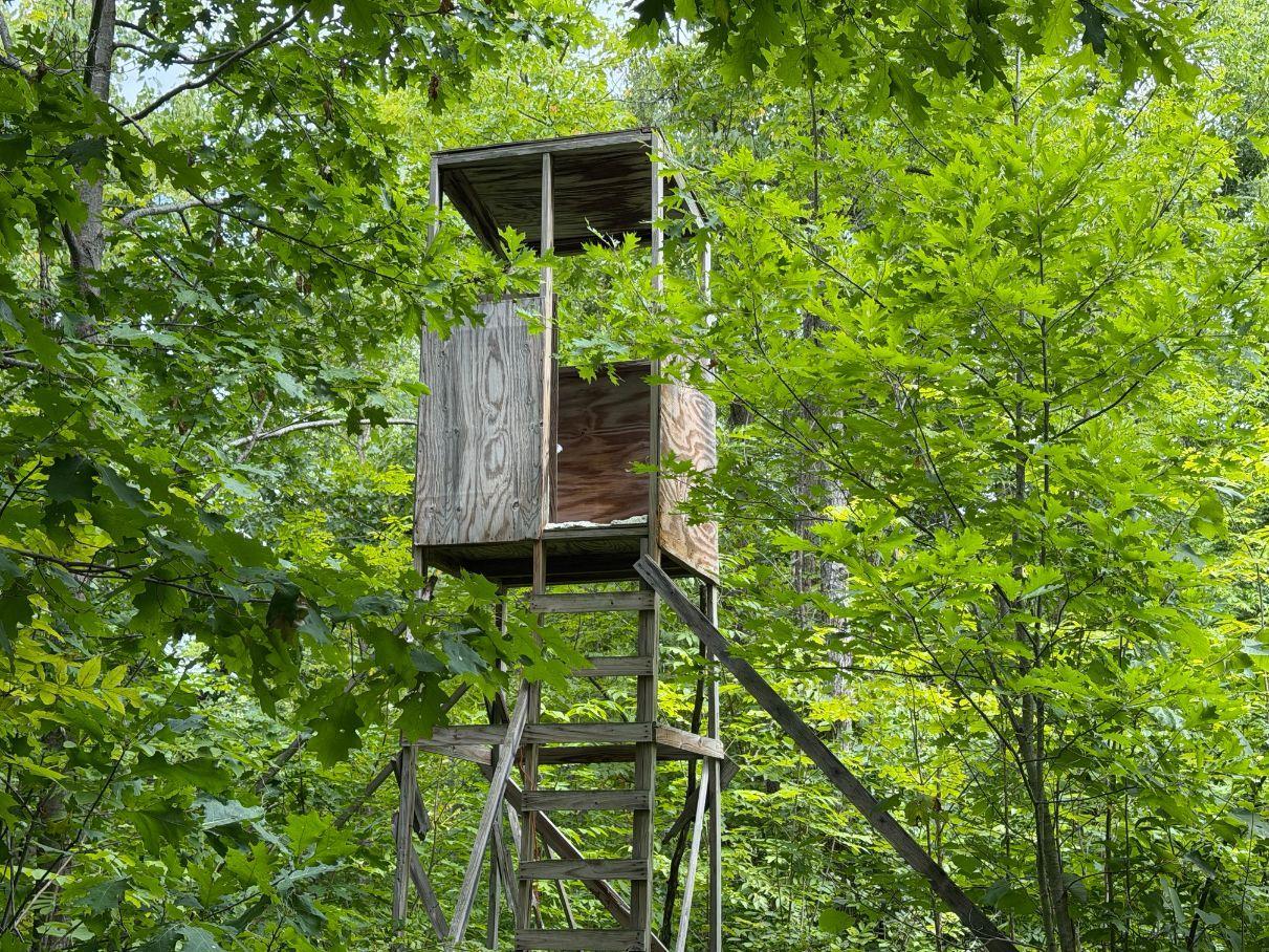 Property Photo 43