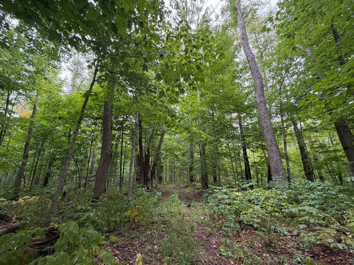 Property Photo 52