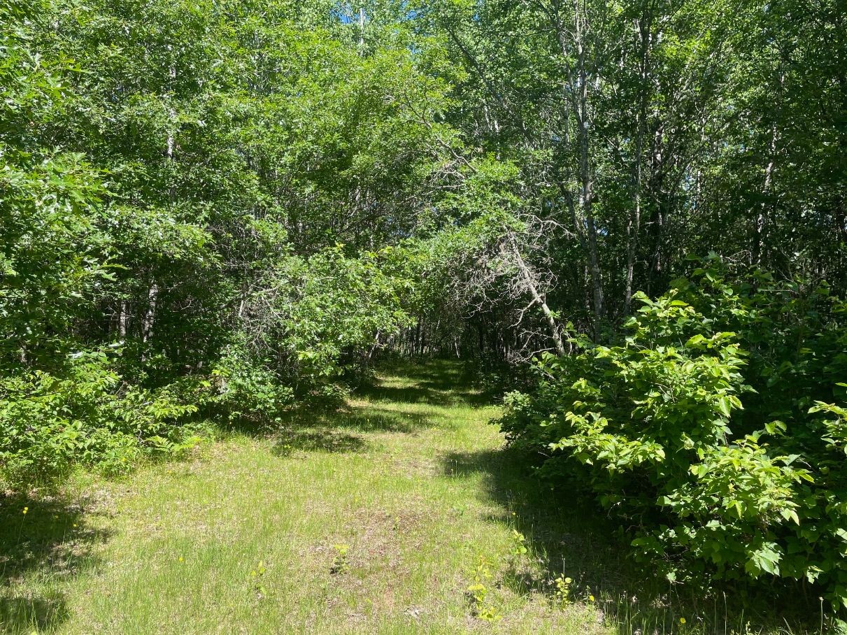 Property Photo 37
