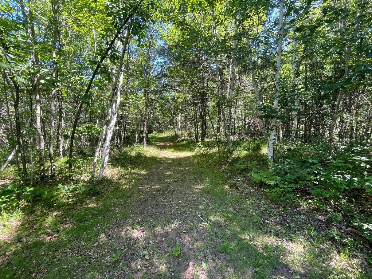 Property Photo 40