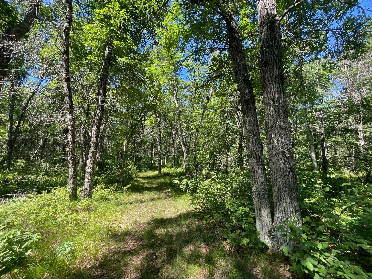 Property Photo 46