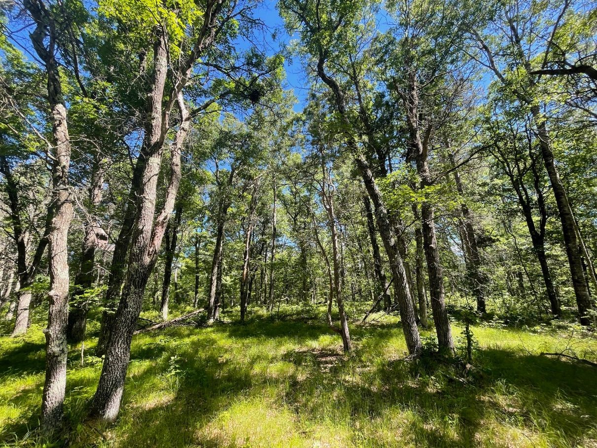 Property Photo 49